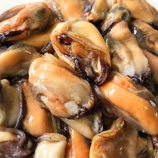국내산 남해안 당일손질 생물 순살 홍합살, 1개, 500g