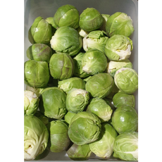 [방울양배추] 미니 양배추 제주 방울양배추 [원산지:국산], 1개, 1kg