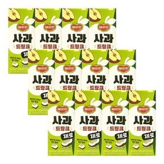 롯데칠성 델몬트 제로 사과, 12개, 200ml