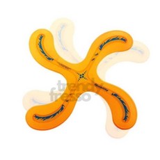 데이슬롯 스포츠 부메랑 원반던지기 부메랑던지기