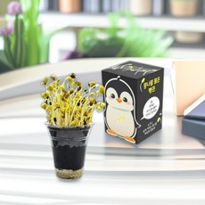 콩나물 품은 펭귄 콩나물재배기 콩포함 시루 식물 관찰놀이 집에서 가정용 물주기 키우기