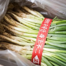 국내산 흙쪽파, 4kg, 1개