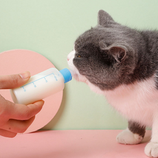 고양이 젖병 세트 반려동물 강아지 급수기 60ml, 1개