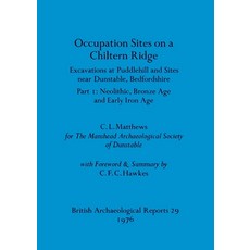 (영문도서) Occupation Sites on a Chiltern Ridge: Excavations at Puddlehill and Sites Near Dunstable Bed... Paperback, British Archaeological Repo..., English, 9780904531329