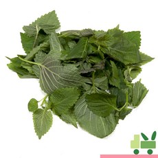 사라상회 깨순 (어린깻잎 깻순) 2kg, 1개