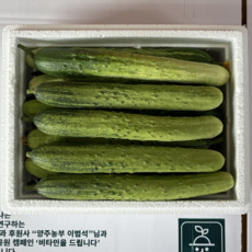 쓴맛 없이 맛있는 오이 소박이 오이지용 양주농부 클로렐라 백다다기 백오이, 1박스, 클로렐라 오이 5kg (30개-34개)