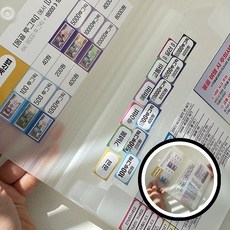 화폐 몽골 지갑 여행 스티커 돈 준비물 투그릭4개국 여행용 여행준비물 화폐투그릭 TLi08447, 필리핀 페소 스티커