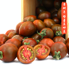 [제철봄맞이특가] 부산 대저 특산품 흑대추방울토마토 짭짤이토마토 단짠단짠 당도선별 산지직송, 1개, 3kg(1-3번과)