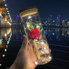 [프렌치라임]코르크 유리병 꽃 편지지, [프리미엄]LED레드 프리저브드 장미