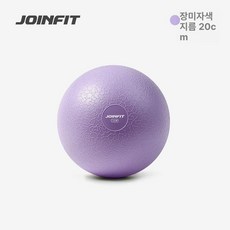 웨이티드 웨이티드볼 연습 훈련용 웨이트볼 피칭 베이스볼, 로즈 퍼플 20cm, 1개