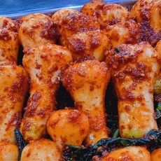 아삭한 총각김치 초롱무 알타리무 3kg, 1개