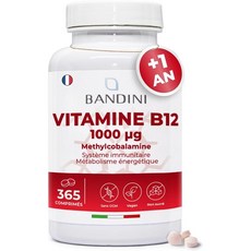 Bandini 비타민 B12 1000mcg 메틸코발라민 태블릿 이탈리아산, 1개, 365정