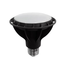 LED 에코 파30 확산형 LED 램프 15W, 주광색, 1개
