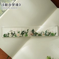 透明壓克力尺 玫瑰與夢 植物系簡約直尺, 1個, . 甜白夢境