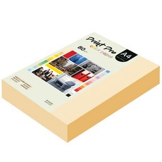 종이문화 프린트프로 칼라복사지 No 02 아이보리, A4, 500개 A4, 500개