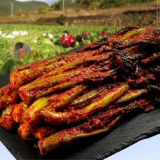 국내산 여수 돌산 갓김치, 1박스, 1kg