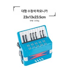 미니 아코디언 소형 프랑스 교육용 악기 17키 베이스, 1개, H_라이트 블루 대형 하모니카, 단일 모델
