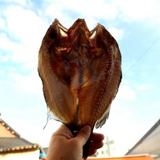 우럭찜 반건조우럭 55~60cm 1마리 우럭탕 우럭조림, 1개