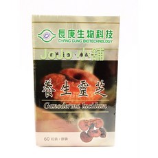 長庚生技 養生靈芝 60粒/瓶, 1個
