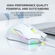 게이밍 셋 PC 게이머용 마이크 폰 E스포츠 패키지 풀 RGB 라이트 디자인, Mouse