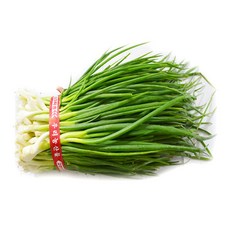 서산 깐쪽파 1kg, 1개
