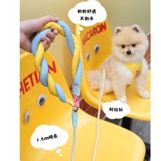 【Tuffhound】彩虹款牽引繩 TF057 犬貓牽引繩 寵物牽繩 外型可愛, 1個, 彩虹牽引繩 150cm, 彩虹