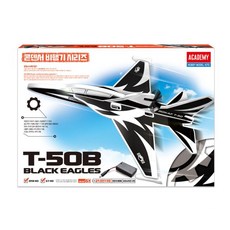 충전식 블랙이글 전투기 글라이더 DIY 과학교구 만들기세트, 1개