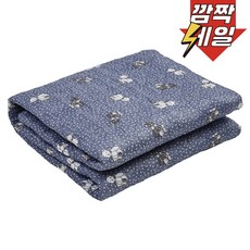 HanilMedical 탄소열선 전기요 HLY-603NK, 코지베어, L(135 x 180cm/KC정품)