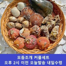 모듬조개세트 모듬조개구이세트 모듬조개찜세트, 1개, 커플세트 2.5kg(2~3인)