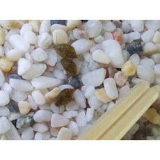 복어먹이 가재먹이 왼돌이 물달팽이 10마리 이끼 청소, 1개