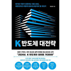 K 반도체 대전략, 상세 설명 참조