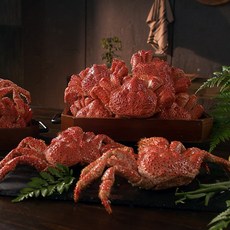 [TV홈쇼핑정품 찜케어] 한농식 자연산 스노우 레드크랩 손질 붉은대게 킹크랩, 9개, 400g