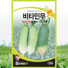 세계종묘 비타민무 씨앗 100립 가을 김장무씨 종자, 1개