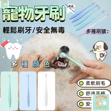 本町萌寵 寵物牙刷貓咪牙刷 貓牙刷寵物口腔 貓用毛刷 狗刷子貓刷子 寵物潔牙 貓咪清潔 犬貓專用牙刷 毛孩口齒清潔, 1個, 圓頭,白色