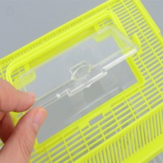 [퍼스트픽] 곤충 채집통 중형 사슴벌레집