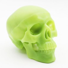 인체 해부학 실습 두개골 구조 데셍 컬러 미니 미술 머리뼈 학교 교육 분리 모형, H . 해골(이미지 참조)