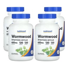 뉴트리코스트 약쑥 450mg 120캡슐, 120정, 4개