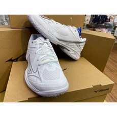 美津濃 羽樂體育 WAVE CLAW 3 羽球鞋 71GA244 高抓地力 避震 穩定