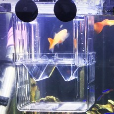 대형 구피 치어 부화통 열대어 격리 어항용 용품 물고기 키우기 망, 1개