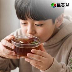 토종원 약선 수정과 950ml x 2병