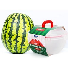 화채 컷팅과일 채소보관통 수박반통 보관용기 플라스틱큰통 과일보관용기 수박소분용 야채, 1개