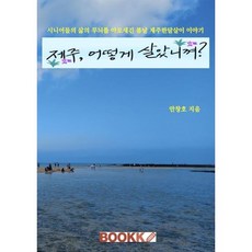 제주 어떻게 살았니껴?, 안창호 저, BOOKK(부크크)