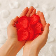 솔레르 웨딩촬영 플라워샤워 꽃잎 1000장, 1개, 레드