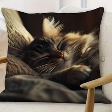귀여운 잠자는 고양이 프린트 베개 직사각형 소파 거실 장식 쿠션 코어 창문 좌석 등받이, I. SBSA060504