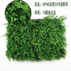 台灣公司 嘉義出貨 仿真草坪 塑料草坪 假草坪 櫥窗裝飾 假草 墻面裝飾 綠植墻 背景墻 植物墻 店鋪裝飾墻 商場裝飾, 40*60小葉波斯草