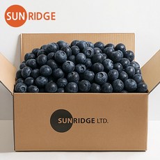 썬리지 직수입 생 블루베리 125g, 3개