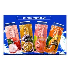 코스트코 블루몽키 스파클링 주스 330ml 4가지맛 청량음료, 16개