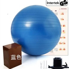 짐볼 의자 체어 4종 블랙 테스공 홈트 세트 운동 코어, B. 65cm 키 60-65cm, I. 푸른 방폭 에어펌프