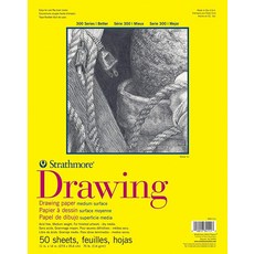 Strathmore 300 시리즈 드로잉 패드 중간 표면 22.9 x 30.5cm(9 12인치) 와이어 50장, 접착제 바인딩