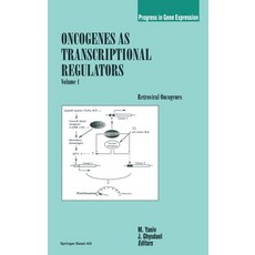 (영문도서) Oncogenes as Transcriptional Regulators: Volume 1: Retroviral Oncogenes Hardcover, Birkhauser, English, 9783764354862